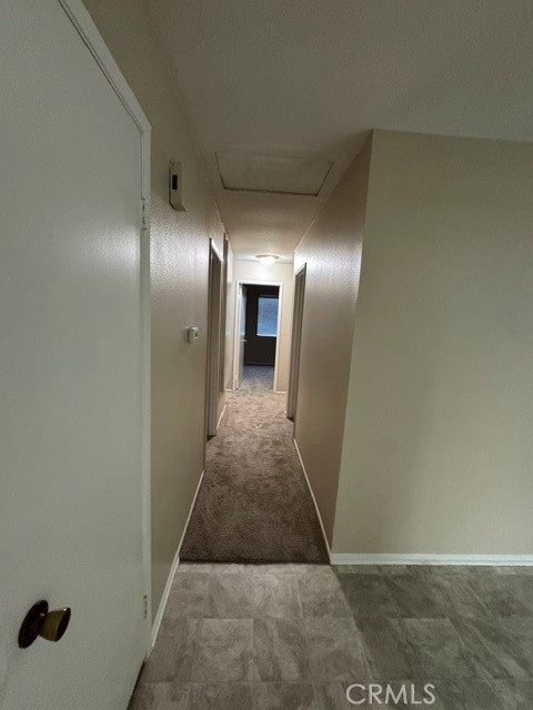 11562 Hartford Court Property Photo 20