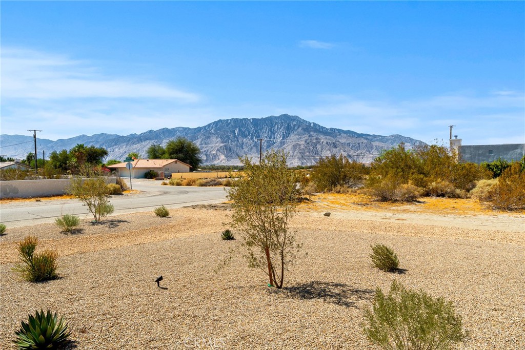 67572 Hatchet Cactus Property Photo 43