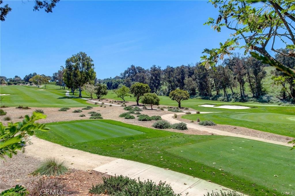 1517 Via Arco Property Photo 41