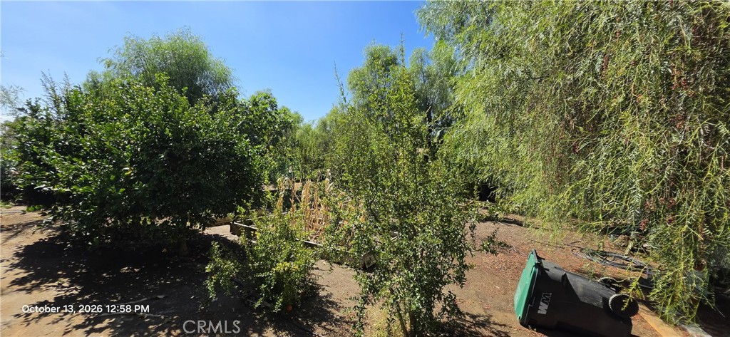 20715 Evans Road Property Photo 9