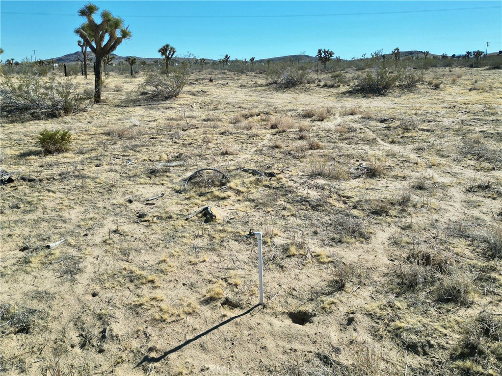 58807 Philippi Property Photo 11