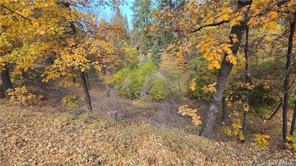 1000 Butte Avenue Property Photo 6