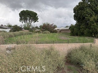38800 Florence Property Photo 1