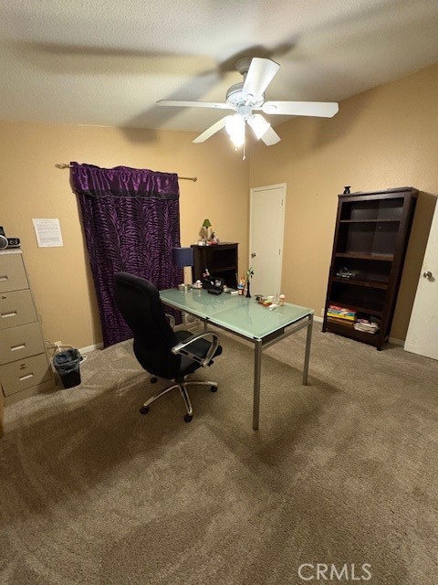 6601 Eucalyptus Property Photo 19