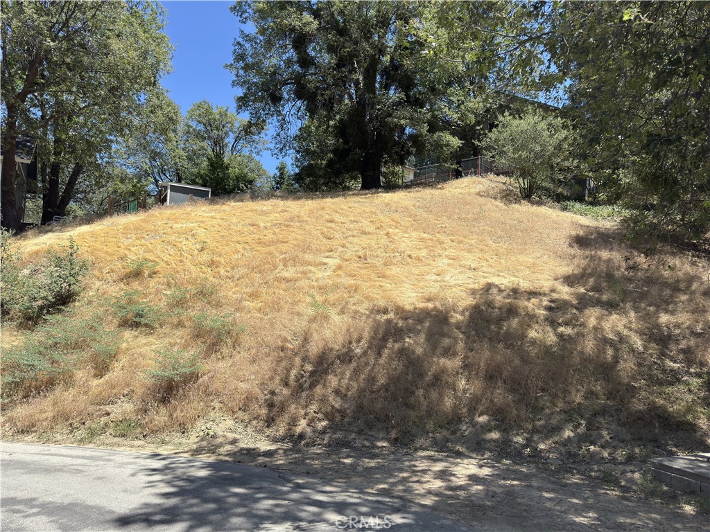 338 Davos Drive Property Photo 8