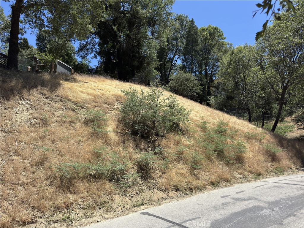 338 Davos Drive Property Photo 11