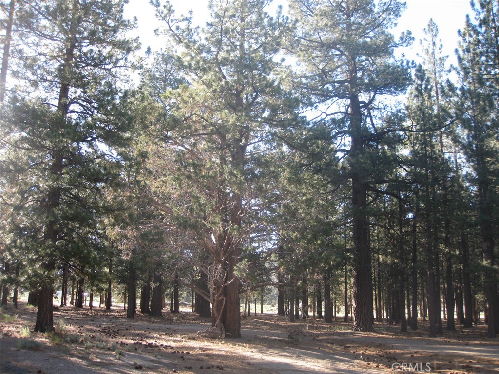 2818 Erwin Ranch Road Property Photo 1