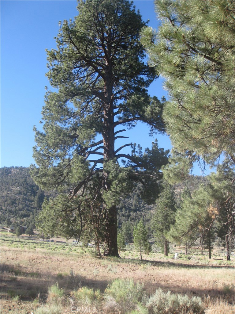 2824 Erwin Ranch Road Property Photo 1