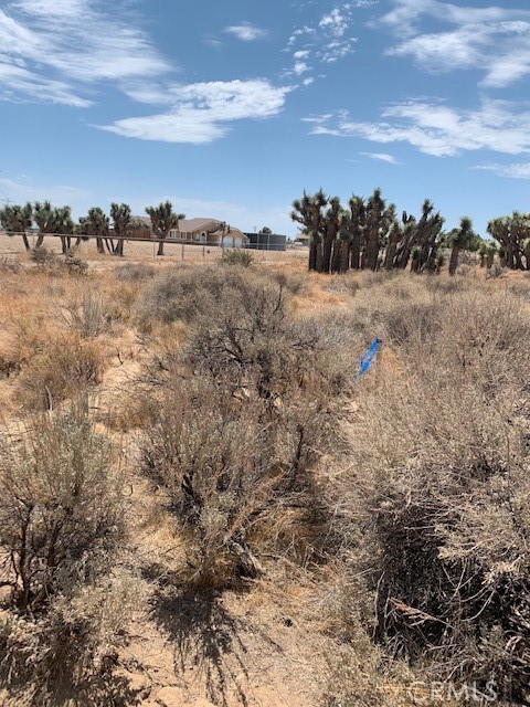 0 Tumbleweed Property Photo 1