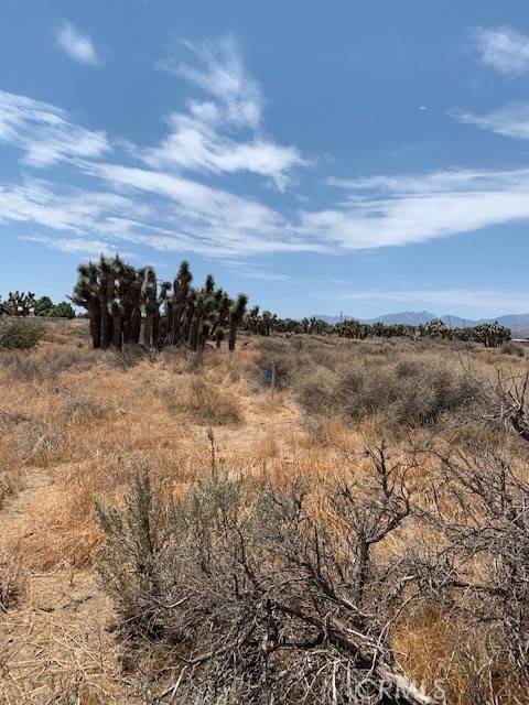 0 Tumbleweed Property Photo 2