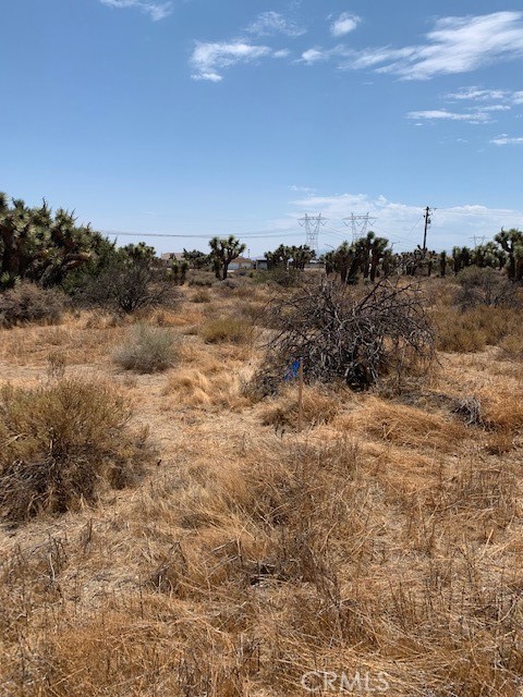 0 Tumbleweed Property Photo 3