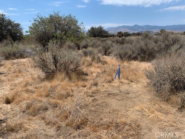 0 Tumbleweed Property Photo 6