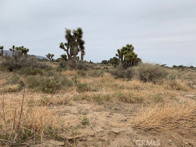 0 Tumbleweed Property Photo 8