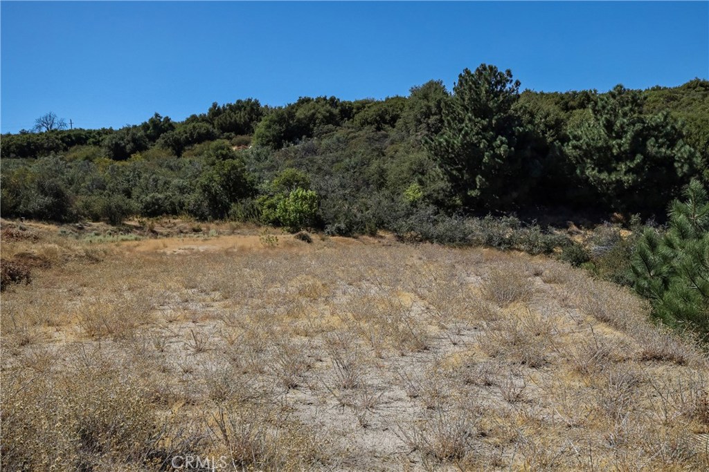 19030 Highway 243 Property Photo 13
