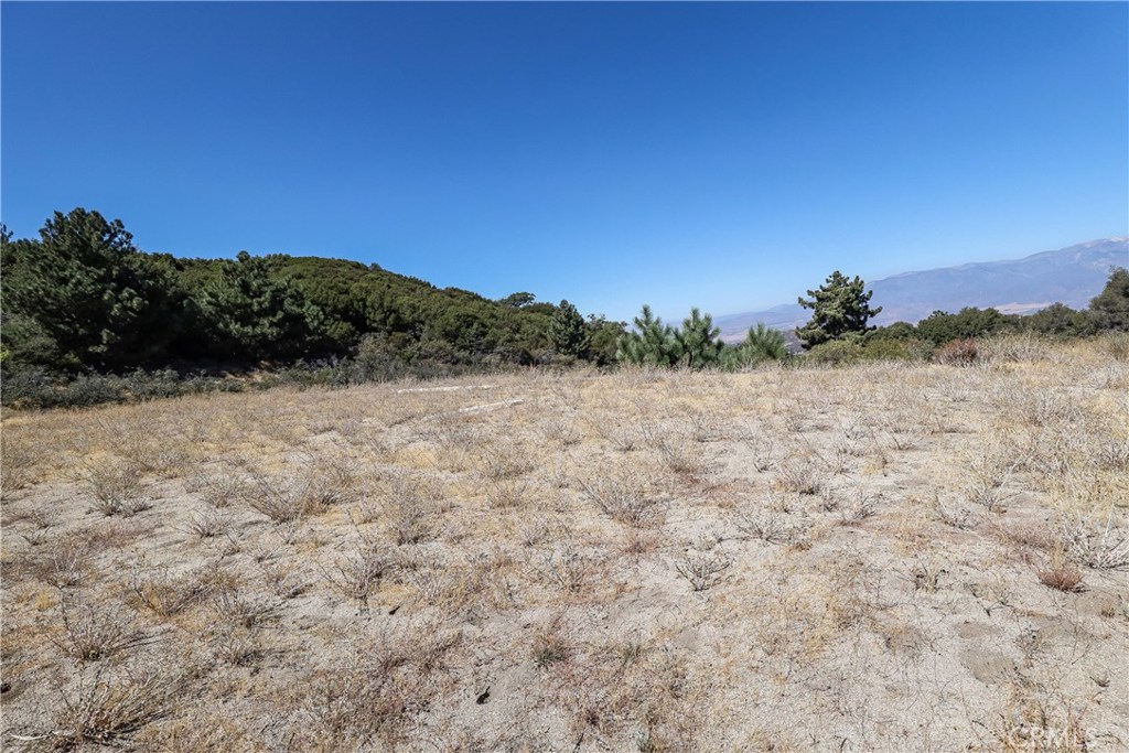 19030 Highway 243 Property Photo 15