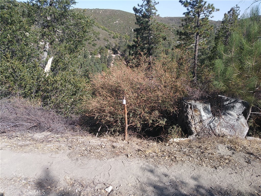 0 Hickory Drive Property Photo 8