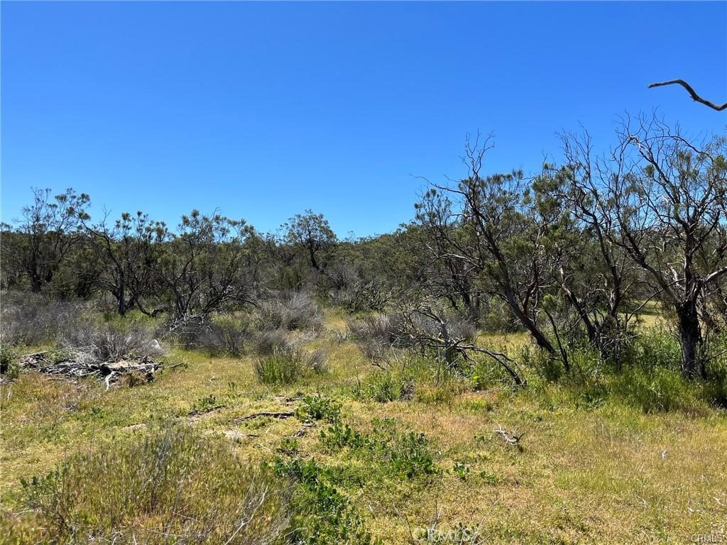 3 Barbara Trail Property Photo 6