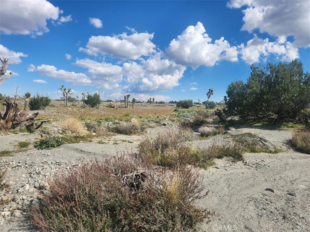 2647 Minero Road Property Photo 3