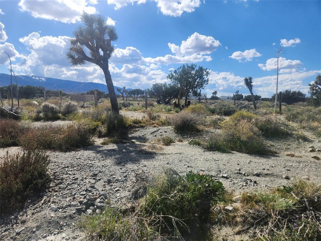 2647 Minero Road Property Photo 6