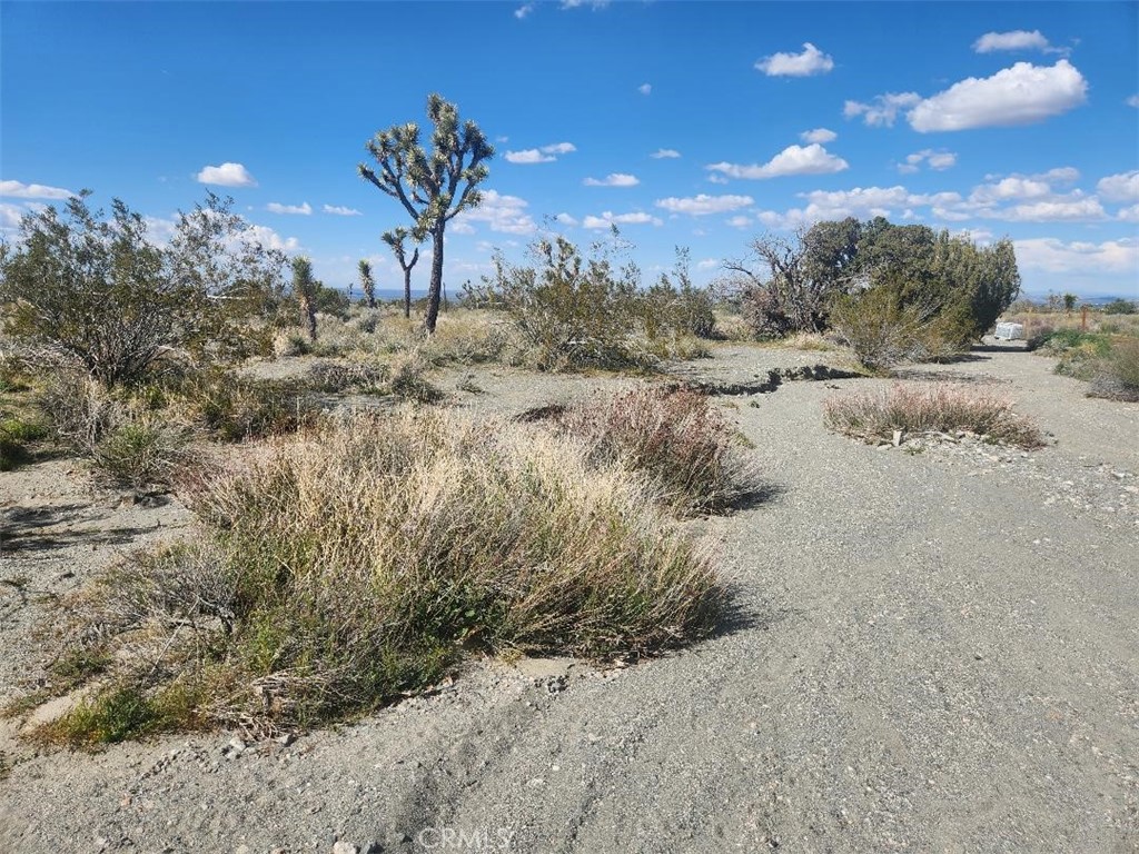 2647 Minero Road Property Photo 10