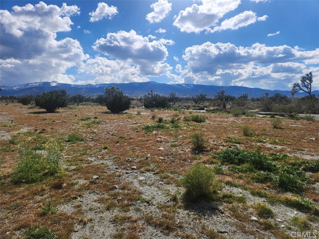 2647 Minero Road Property Photo 11