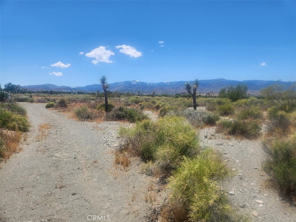 0 Minero Road Property Photo 1