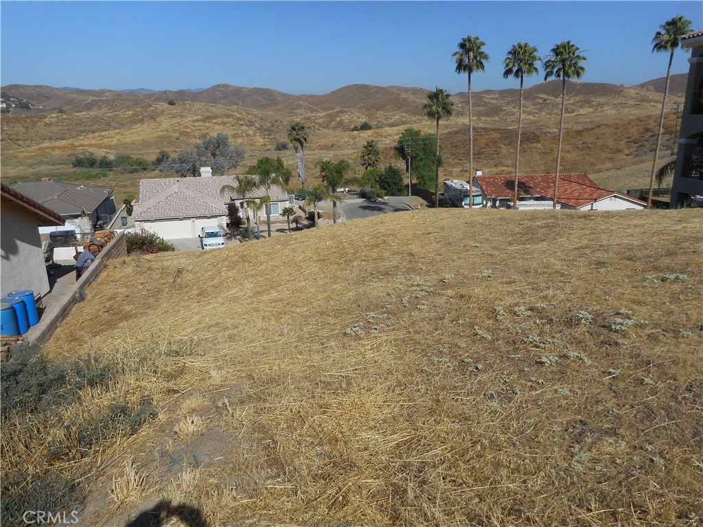 599 Long Horn Drive Property Photo 2