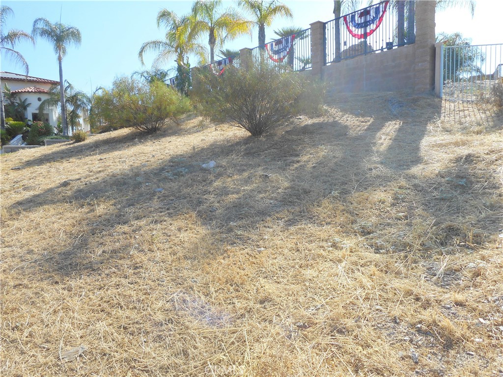599 Long Horn Drive Property Photo 3