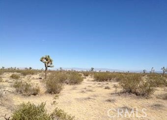 0 Barranca Avenue Property Photo 1