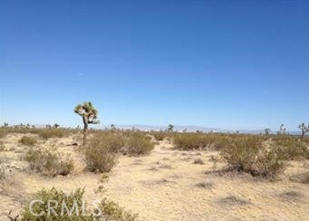0 Barranca Avenue Property Photo 2