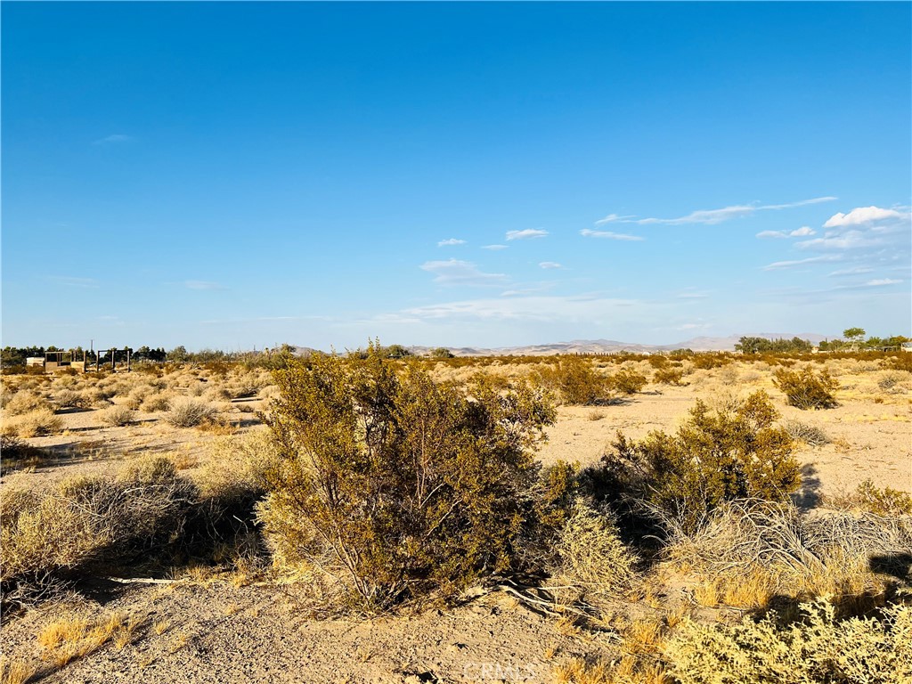 0 Newberry Springs Property Photo 2