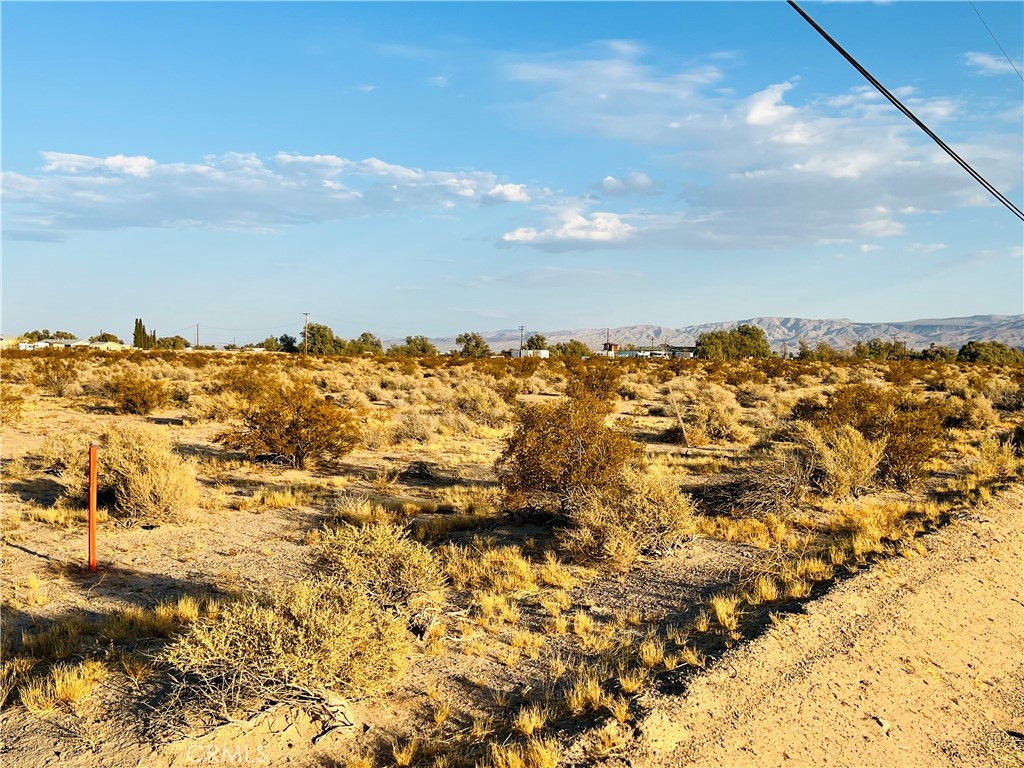 0 Newberry Springs Property Photo 4