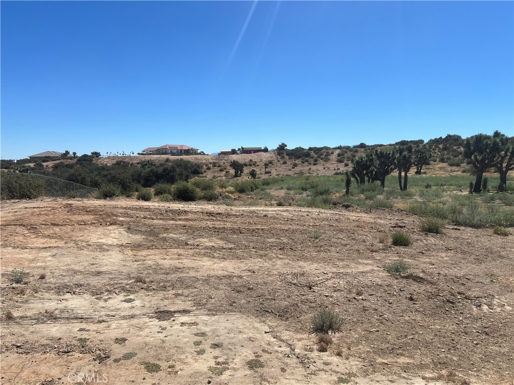 6155 Coleridge Road Property Photo 4
