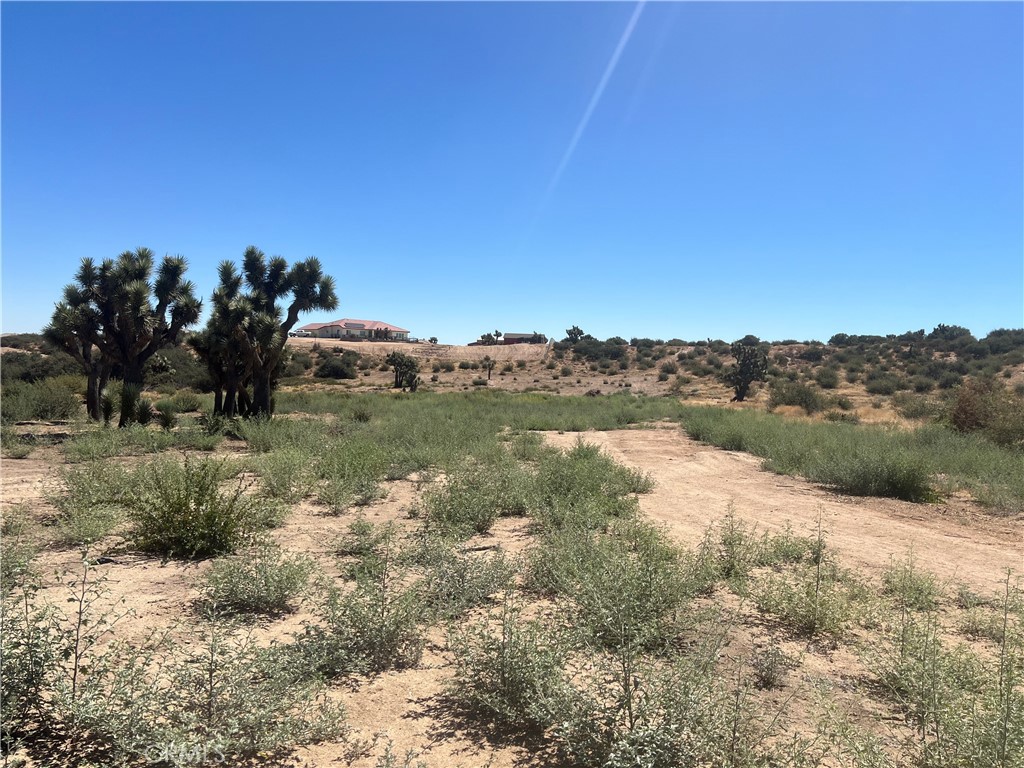 6155 Coleridge Road Property Photo 8