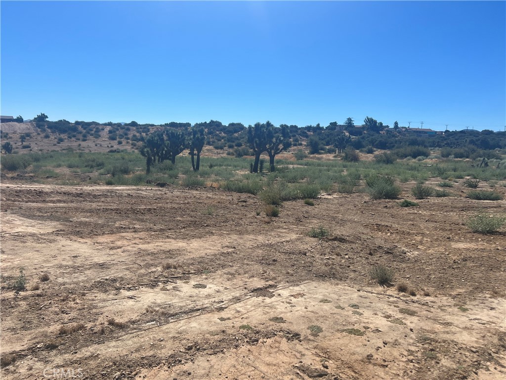 6155 Coleridge Road Property Photo 10