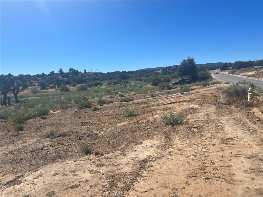 6155 Coleridge Road Property Photo 13