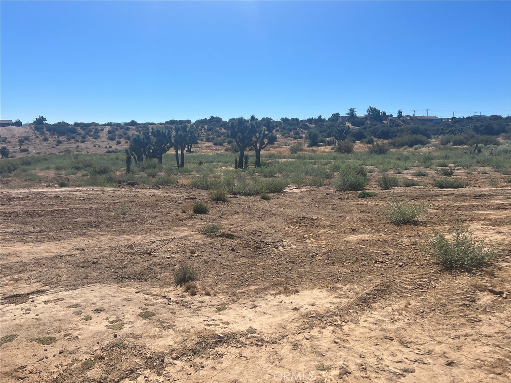 6155 Coleridge Road Property Photo 16