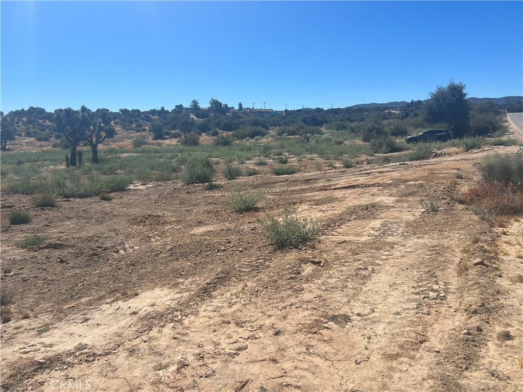 6155 Coleridge Road Property Photo 17