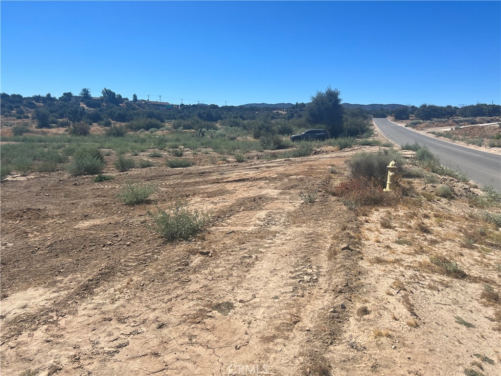 6155 Coleridge Road Property Photo 18