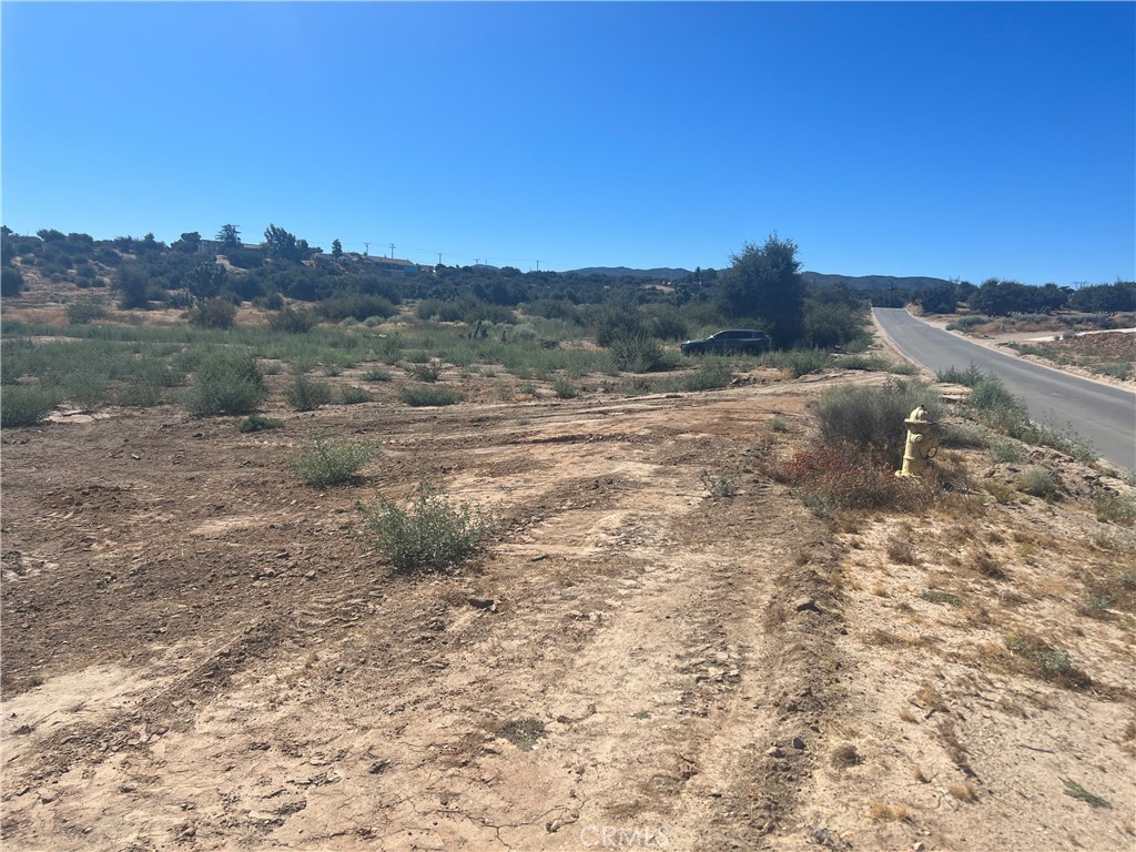 6155 Coleridge Road Property Photo 19