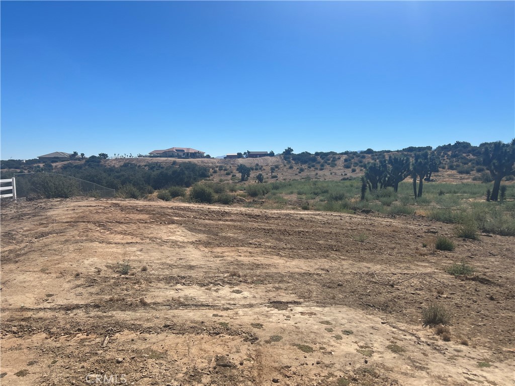 6155 Coleridge Road Property Photo 21