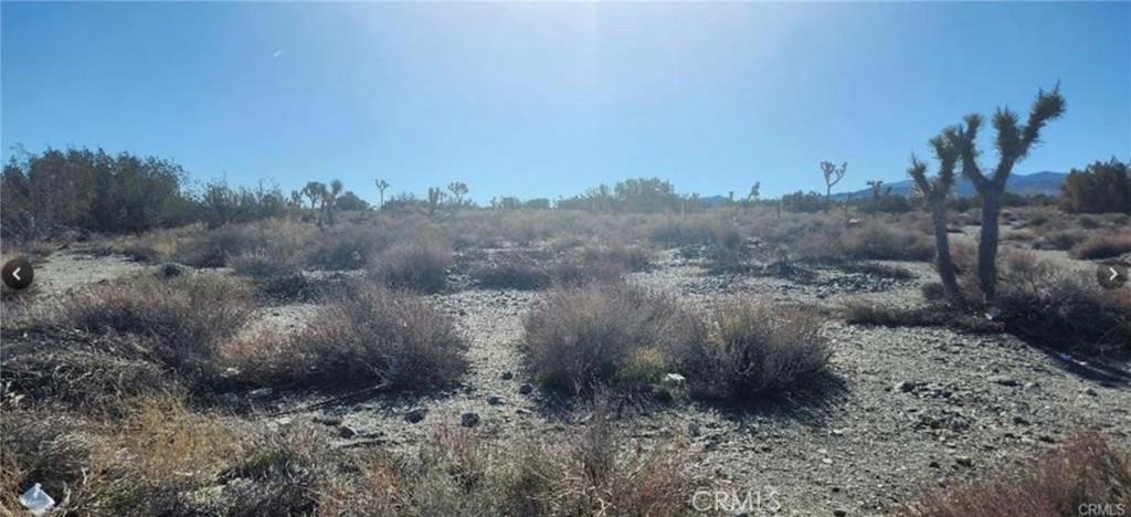 0 Smoke Tree Road Property Photo 1