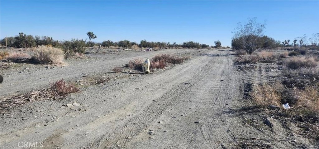 0 Smoke Tree Road Property Photo 2