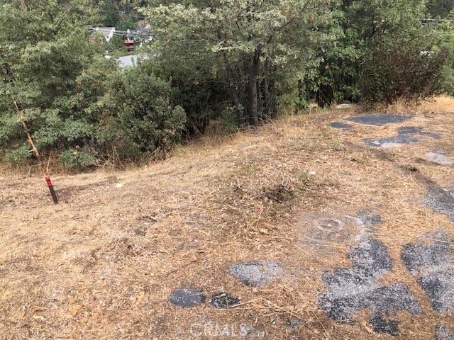 0 Trinity Lot 332 Drive Property Photo 1