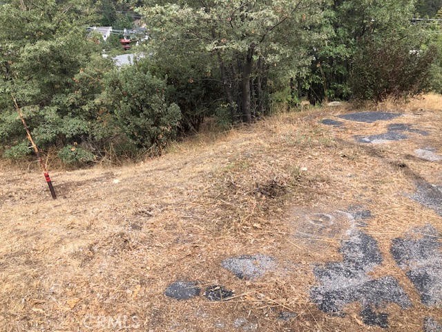 0 Trinity Lot 333 Drive Property Photo 1