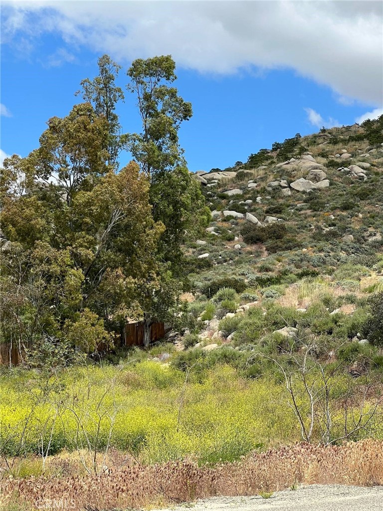 46251 Wilson Valley Road Property Photo 41