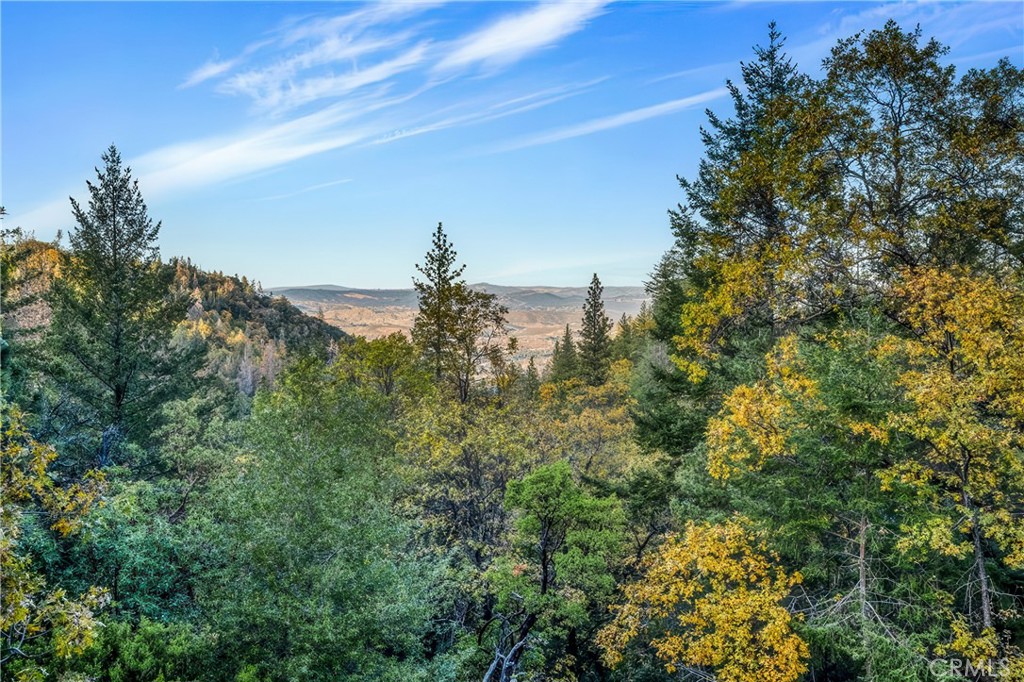 12375 Dry Creek Road Property Photo