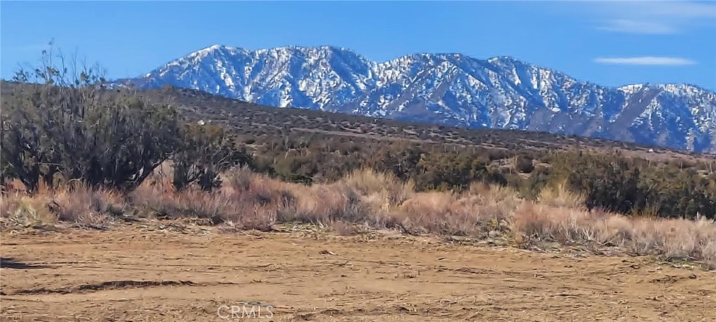 0 Avenue Y Property Photo