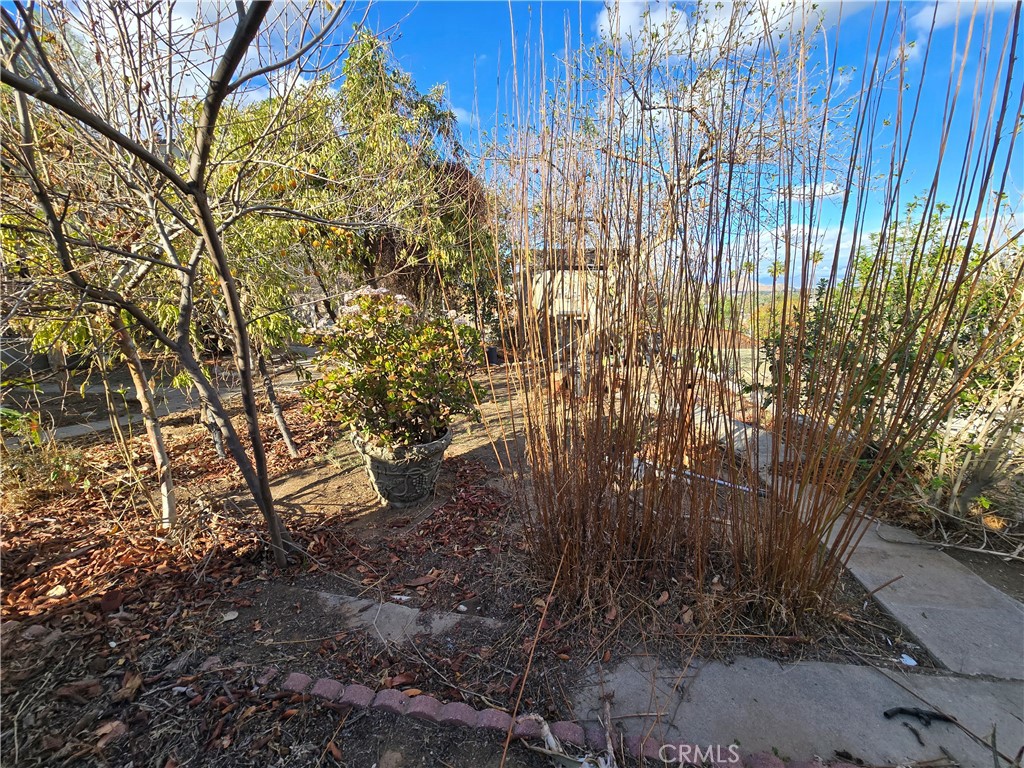 2789 Fairmount Boulevard Property Photo 58