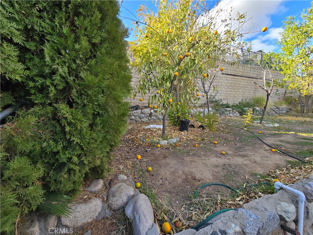 2789 Fairmount Boulevard Property Photo 69